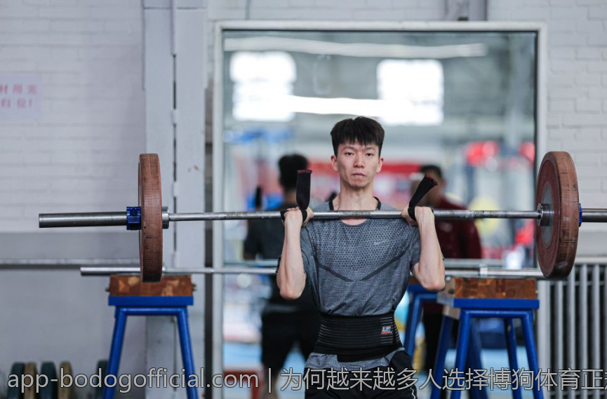 为何越来越多人选择博狗体育正规版