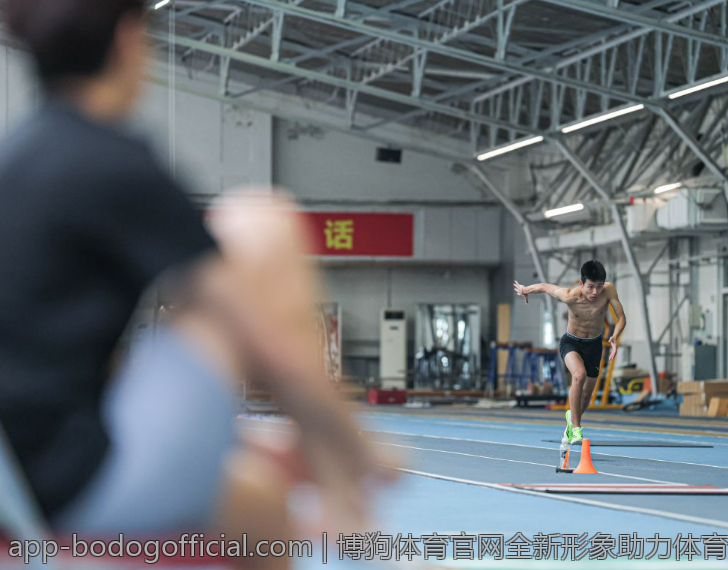 博狗体育官网全新形象助力体育爱好者