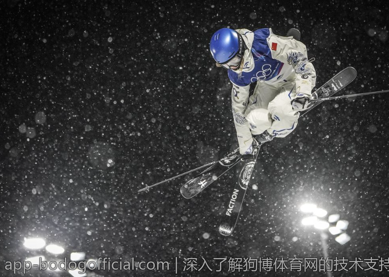 深入了解狗博体育网的技术支持与服务