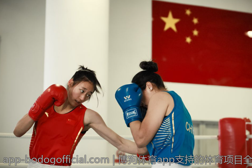 博狗体育app支持的体育项目全面解析