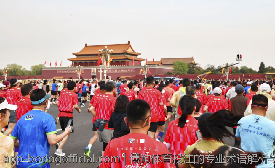 博狗体育投注的专业术语解析与实例