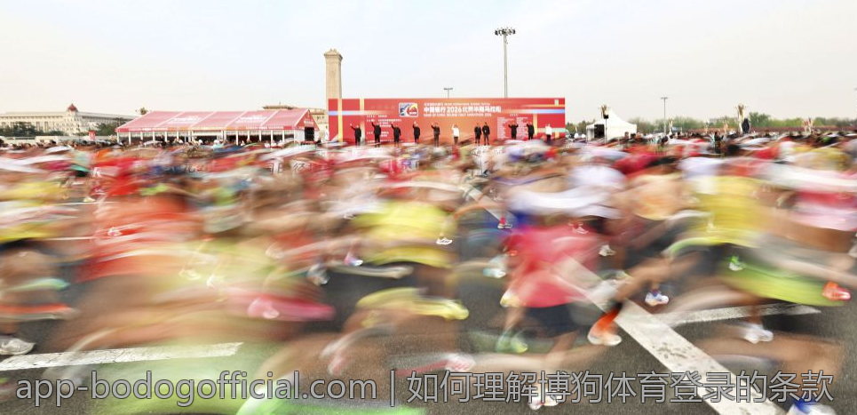 如何理解博狗体育登录的条款